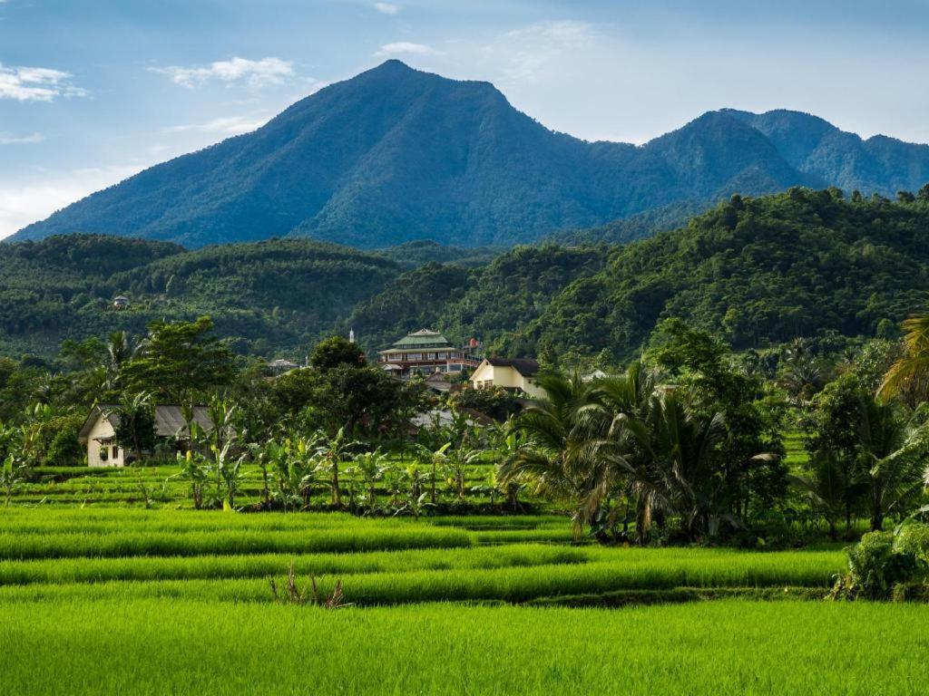 Bogor Valley Hotel Buitenkant foto