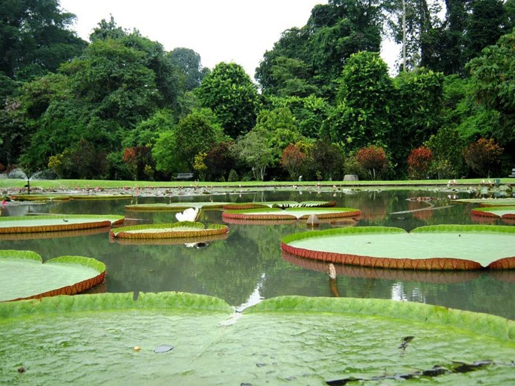 Bogor Valley Hotel Buitenkant foto
